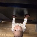 276 | [D+276] 9개월 10개월 후기 이유식 밥솥 이유식 큐브 만들기 입자감 꿀팁
