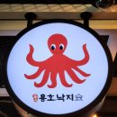 용호스타 티스토리