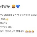 💙🦁 삼달웃 🦁💙 이미지