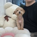 행복을 배우는 공간 이미지