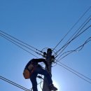 와이디에스 이미지