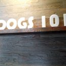 101 애견미용 이미지