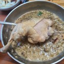 거북골길 | [경북 안동] 현지인 닭불백숙 맛집 - 신촌닭백숙