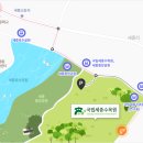 세종 오즈 이미지