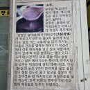 전주콩나물해장국 - 증평군 윗장뜰길 62 | 상도역 맛집: <전주 콩나물 해장국> 이용 후기