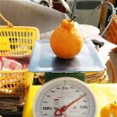 성제농장 이미지