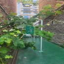 큰나무공인중개사사무소 이미지