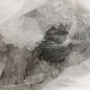 래아수산 이미지