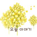 강원도 공인중개사사무소 이미지