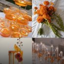 P&J 팜스 | 💗 Hadi’s Wedding Journey : 준비 과정 + 신부 관리 💗