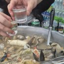 살아있네문어 | 울산동구맛집 추천, 문어가 통째로 들어간 살아있네 일산점 조개전골 후기