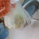 에이케이사이언스 | 고양이모래 두부모래 추천 마그넷, 베타클린 AK사이언스