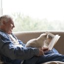 마음든 동물병원 이미지