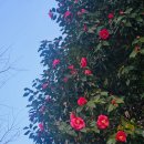 재반보건지소 이미지