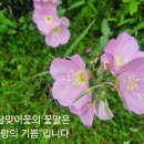 만남 이미지
