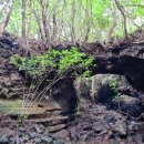 제주 김녕굴 및 만장굴 이미지