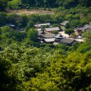 표충사 티스토리
