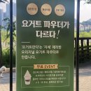 요거트판다 네이버블로그