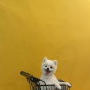 호반카페분식 이미지