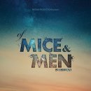 도청대로(풍천면) 이미지