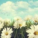 제인한의원 이미지