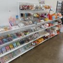 블루웨일 | [제주 서귀포 블루웨일 카페 후기] 돌고래 볼 수 있는 제주 카페 추천