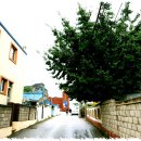 속초사잇길 제3길 이미지