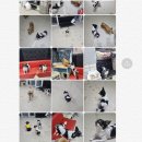 빈스 앤 멍 이미지