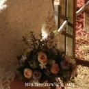 메리슈가 이미지