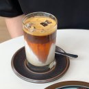 라비브