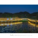 안성맞춤랜드 이미지