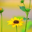 시작에머물다 이미지