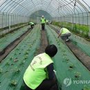 폴리텍어플리케이션 이미지