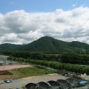 죽림1로가로수 이미지