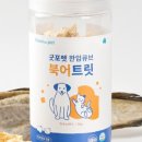 리얼포펫