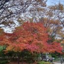 성수사슴농장 이미지