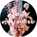 벤자민타이스파