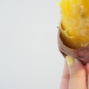 해보이엔에프