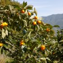 청암면사무소 이미지