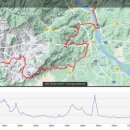 산수유 둘레길 이미지