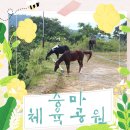 장흥 승마체육공원 이미지