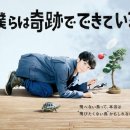 댕댕이 머리하는 날 이미지