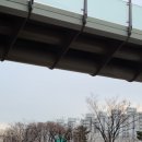 성일세탁소 | [매탄동대장아파트] 낮과 밤 두번, 매탄위브하늘채 아파트 임장 다녀온 후기