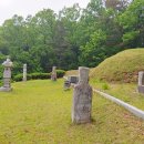 진화 묘 이미지