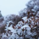 “찬바람 쌩쌩 불면 시큰”…‘기온 뚝’ 더 괴로운 무릎관절 이미지