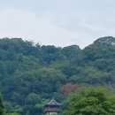 에히메현 이마바리5 - 해적박물관을 나와 버스 타고 역으로! 이미지