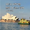 [직접 다녀온 시드니 자유여행 코스] 6박 7일 알찬 일정 추천 (맛집, 패디스마켓, 디너크루즈, 캥거루...