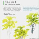 수채화(기초) 이미지