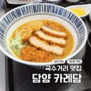 담양 데이트 맛집 카레담, 카레 우동카츠 먹고 반한 후기