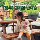 반디숲주 | ㅣ광주ㅣ화담숲 대신 선택한 신의 한 수! 애견동반 가능 곤지암 반디숲 후기